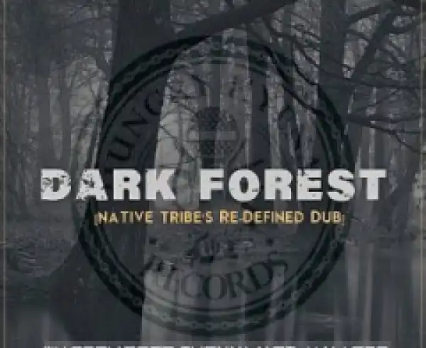 Warren Deep - Dark Forest (Native Tribe’s Re-Defined Afro Remix) ft. Thexy LX, Jay Afro